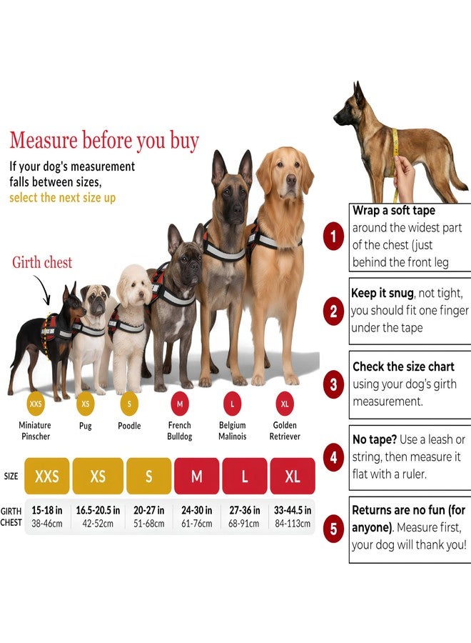 Albcorp Reflective Therapy Dog Vest Harness with 2 Removable Patches, Adjustable Woven Nylon, for Therapy Visits and Volunteer Programs, Red, XXS - Image 3