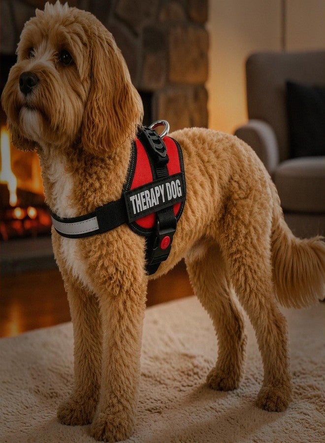 Albcorp Reflective Therapy Dog Vest Harness with 2 Removable Patches, Adjustable Woven Nylon, for Therapy Visits and Volunteer Programs, Red, XXS - Image 2