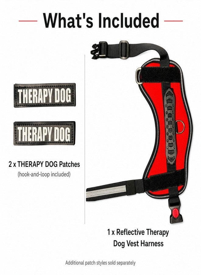 Albcorp Reflective Therapy Dog Vest Harness with 2 Removable Patches, Adjustable Woven Nylon, for Therapy Visits and Volunteer Programs, Red, XXS - Image 4