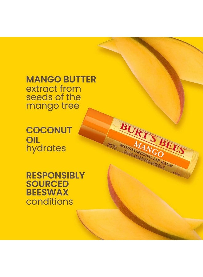 بيرتس بيز مرطب شفاه من بيرتس بيز، هدايا عيد الميلاد للعناية بالشفاه، فاكهة رائعة - رمان، جوز الهند، والكمثرى، والمانجو، والجريب فروت الوردي، علاج طبيعي (عبوة من 4 قطع) - Image 2