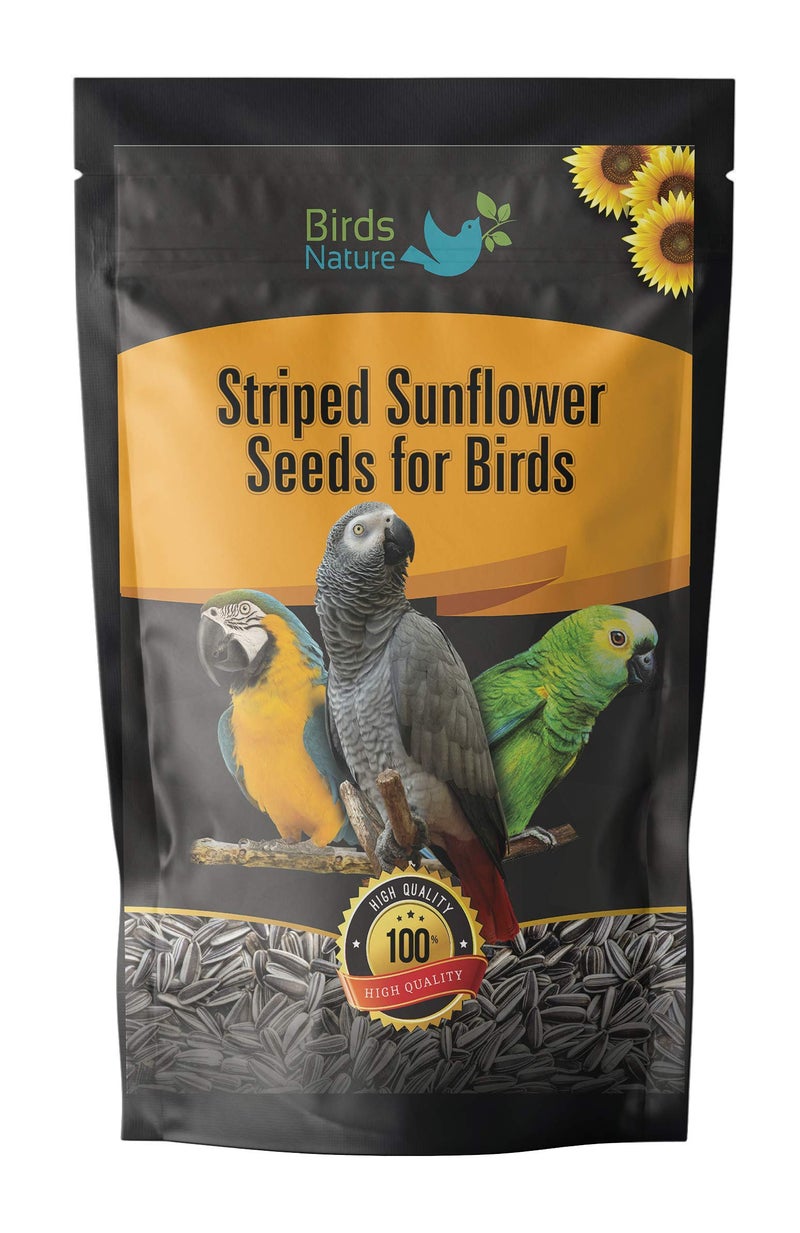 BirdsNature Imported Large Size Sunflower Seeds for Gray Parrot,Indian Parrot, Macaw,Cockatoo and Exotic Birds (1000 G),All Life Stages - Image 2
