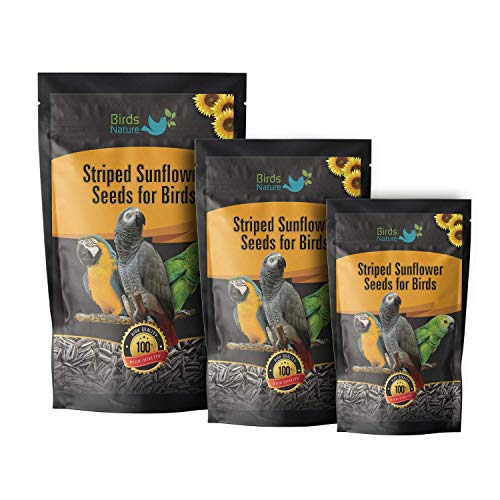 BirdsNature Imported Large Size Sunflower Seeds for Gray Parrot,Indian Parrot, Macaw,Cockatoo and Exotic Birds (1000 G),All Life Stages - Image 1