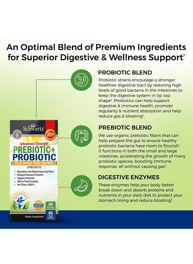 BioSchwartz البريبايوتيك والبروبيوتيك مع إنزيمات الطعام الكاملة للبالغين النساء والرجال - بروبيوتيك لاكتوباسيلوس أسيدوفيلوس - كبسولات صحة الجهاز الهضمي مكمل مستقر على الرف - خالي من الكائنات المعدلة وراثيًا وخالي من الغلوتين والألبان - 60 حبة - Image 5