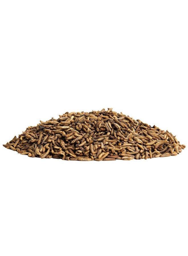 Small Pet Select Grub Bugs, Black Soldier Fly Larvae, Non-GMO, Locally Sourced PNW, 2 lb - Image 2