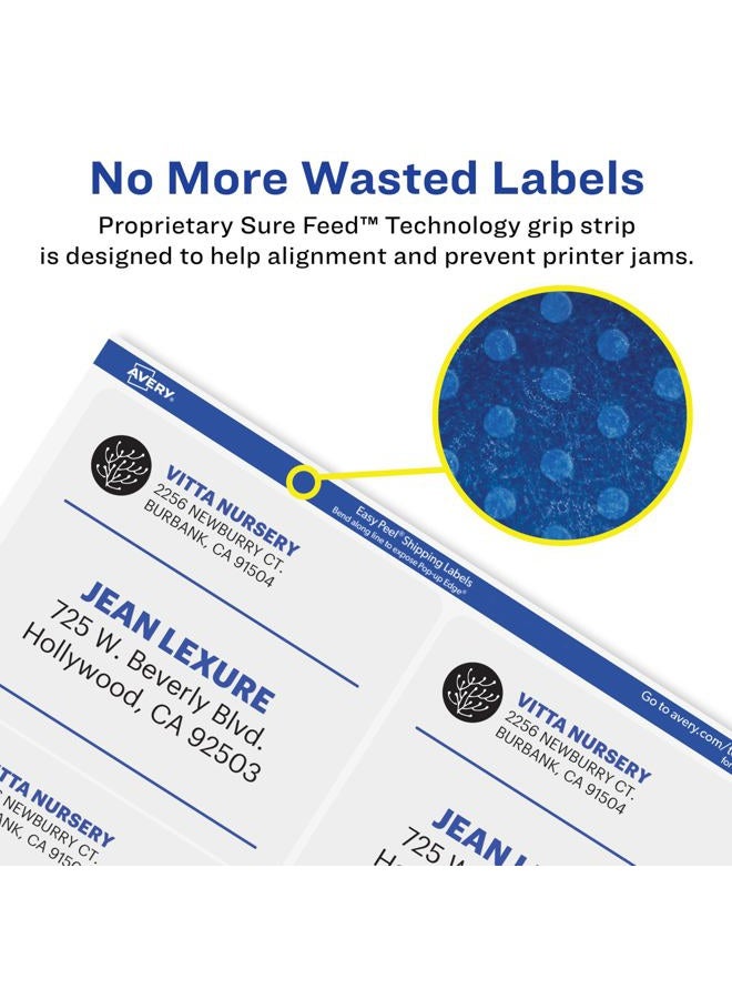 AVERY Matte Frosted Clear Address Labels for Laser Printers, 3-1/3" x 4", 300 Labels (5664) - Image 3