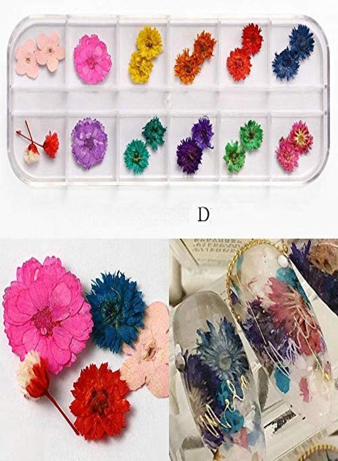 Yeahgoshopping Dry Flowers Nail Art Decorations 3D Natural Daisy Sun Flower - 12 Colors Random and Design/Box - Image 4