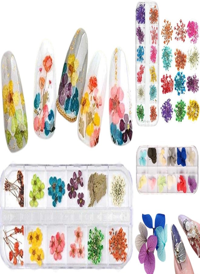 Yeahgoshopping Dry Flowers Nail Art Decorations 3D Natural Daisy Sun Flower - 12 Colors Random and Design/Box - Image 1