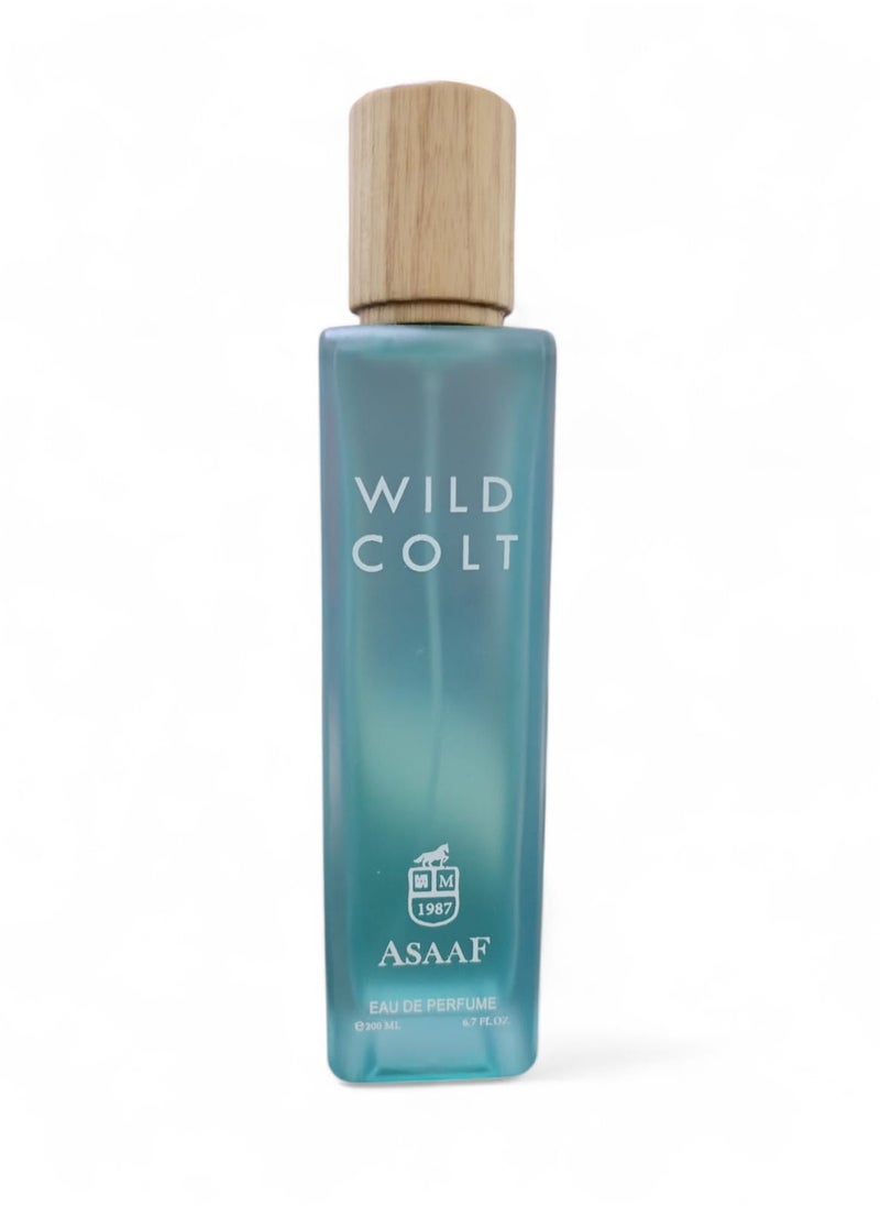ASAAF Wild Colt Asaaf ED Parfum 200ML  - Image 2