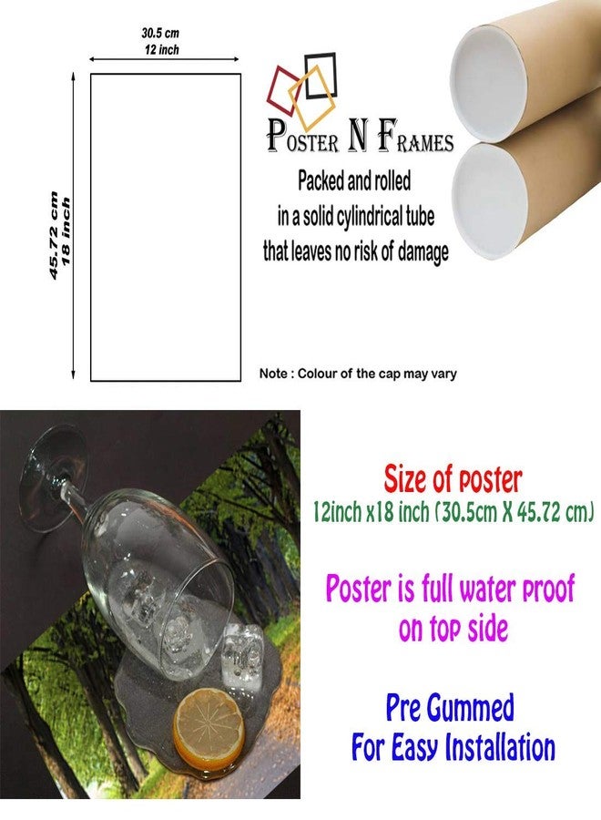 pnf Poster n Frames Numbers|Alphabets|Month|Birds|Colour|Shapes|Fruits|Wall Posters|Educational Purpose|Kids Room|Best Gifting Option (Multicolour, 12x18 Inches) - Image 2