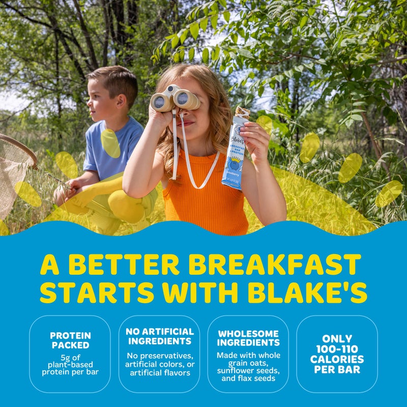 Blake's Seed Based Breakfast Bars with Protein - Variety Pack (24 Count), 5g Clean Plant-Based Protein, Gluten Free, Nut Free, Dairy Free & Vegan, Healthy Snacks for Kids or Adults, School Safe - Image 2