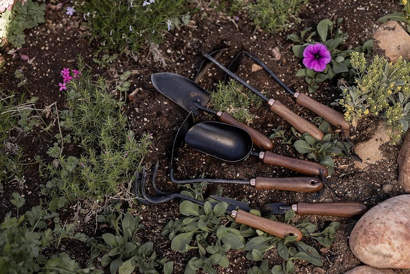 Barebones Dandelion Weeding Fork - Gardening Hand Tools - Japanese Hand Weeder, Weed Puller, and Weed Remover Tool (Walnut/Black) - Image 4