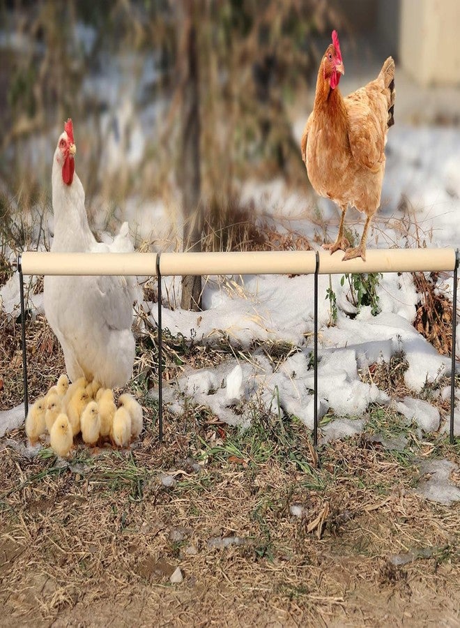 Neeenn Extra Long Chicken Perch Toys, Wooden Chick Perch Stand with Metal Ground Plug, Outdoor Birds Training Platform, Chicken Coop Accessories, Suitable for Poultry Rooster Chicks Large Bird Chicks Parrot - Image 5