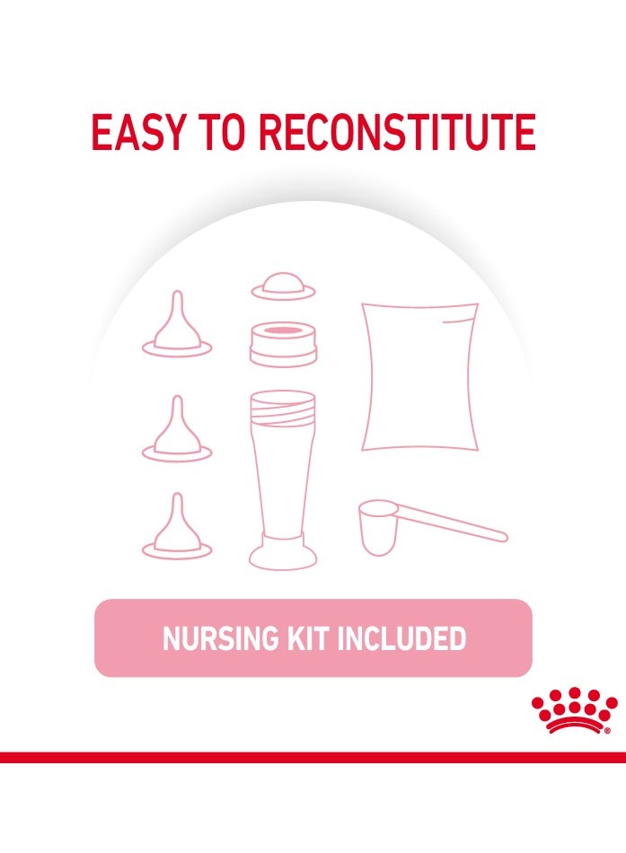 رويال كانين حليب صحة القطط الصغيرة 300 جرام - Image 5