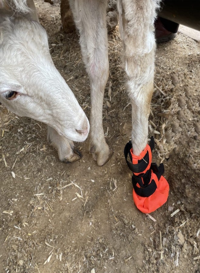 vomvomp Goat Boot Protective Shoes for Sheep Goat Hoof Footsore Foot Rot Treatment - Image 5