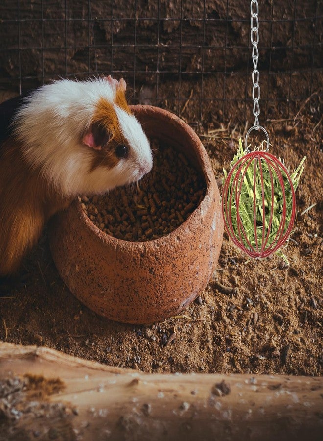 BUGUUYO 2-Pack Hanging Rabbit Feeder Balls 7.99In Small Animal Hay Storage and Treat Dispensers for Bunny Cage Play and Feeding - Image 5