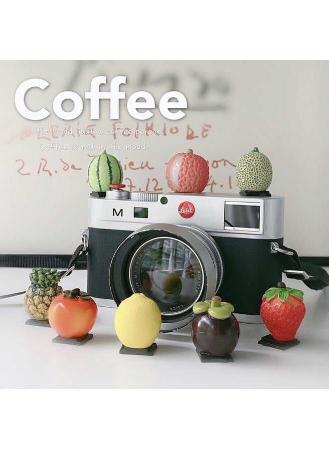 Fruit Hot Boot Cover SLR Camera For Canon Sony Micro Single Fuji Xt30/4 Nikon Decorative Accessories Creative-Color:Watermelon - Image 2
