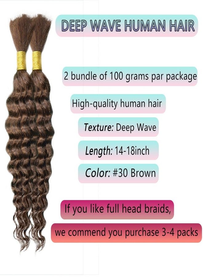 Eileen 30 Chocolate Brown18 Inch 100g 2 Bundles Deep Wave Bulk Human Hair for Braiding Curly Human Hair for Boho Braids Water Wet and Wavy Curls Micro Braiding Hair Extensions Brazilian Virgin - Image 2