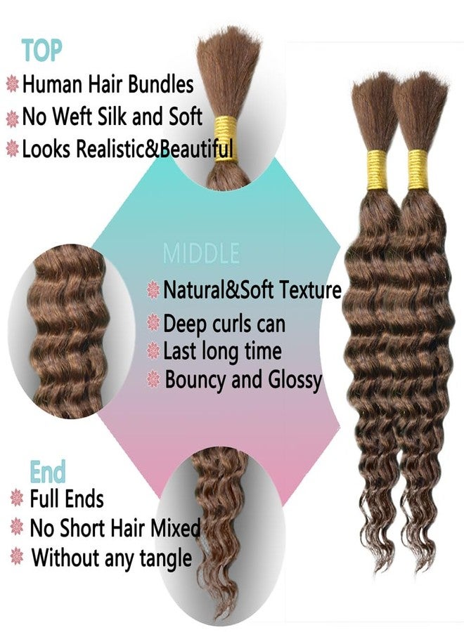 Eileen 30 Chocolate Brown18 Inch 100g 2 Bundles Deep Wave Bulk Human Hair for Braiding Curly Human Hair for Boho Braids Water Wet and Wavy Curls Micro Braiding Hair Extensions Brazilian Virgin - Image 3