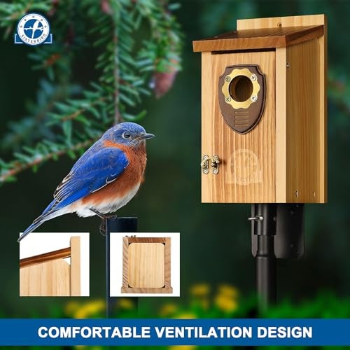 SISTERBIRD Pack of 2 Bluebird Houses for Outside Premium Wooden Bird House Bluebird House for Outdoor Courtyard Decoration Bird Nest Bluebird Finch Swallow Wren Chickadee - Image 3