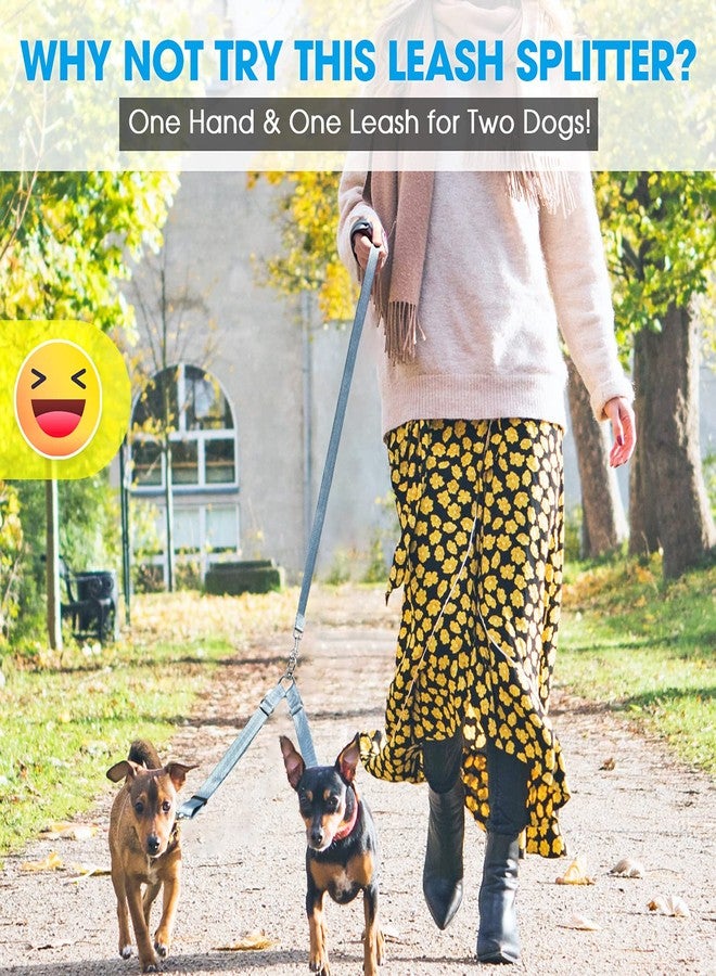BAAPET Double Dog Leash Splitter, Tangle Free Dual Dog Leash Coupler, Two Dog Walking and Training Extension for Small Medium or Large Dogs (1.0'' x 20~32 Inch, Grey) - Image 3