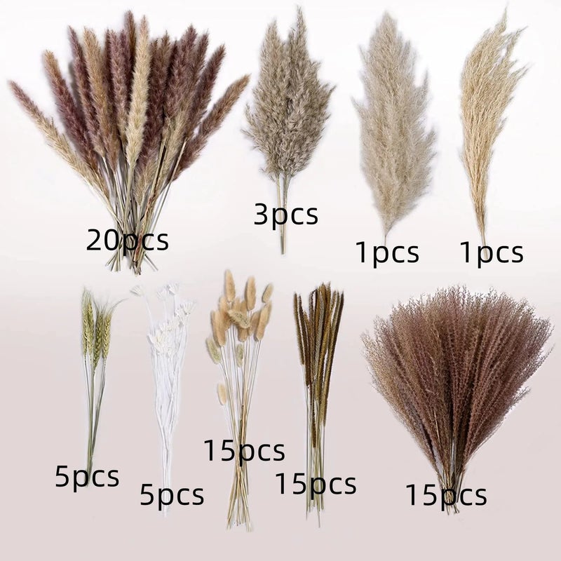 Bluejw Boho Chic Dried Flower Bouquet - Pampas Grass Phragmites Natural Dried Plants - Valentines Wedding Home Decor Gifts - Image 1