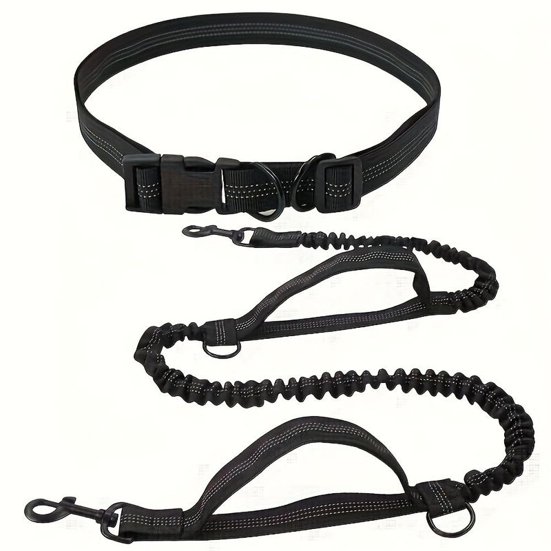 Blue Versatile Running Leash for Dogs Outdoor Walking Leash - Image 4