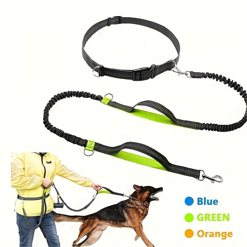 Blue Versatile Running Leash for Dogs Outdoor Walking Leash - Image 5