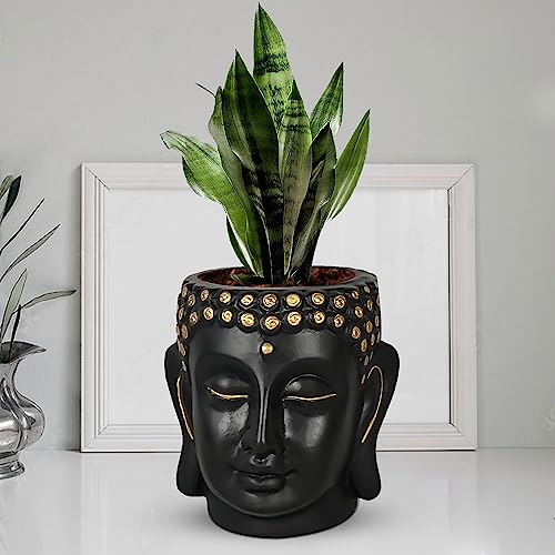 Lasaki Buddha Head Black 6-inch Ceramic Pots for Indoor & Outdoor Plants | Decorative Balcony, Garden & Office Succulent Pot | Unique Spiritual Gamla Plant Holder (H -15.5 X D-16 Cm) - Image 1