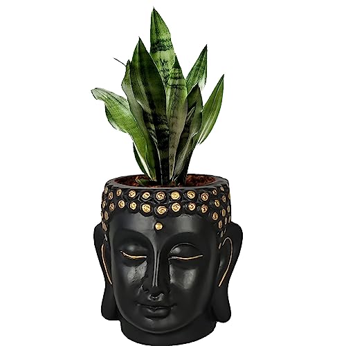 Lasaki Buddha Head Black 6-inch Ceramic Pots for Indoor & Outdoor Plants | Decorative Balcony, Garden & Office Succulent Pot | Unique Spiritual Gamla Plant Holder (H -15.5 X D-16 Cm) - Image 4