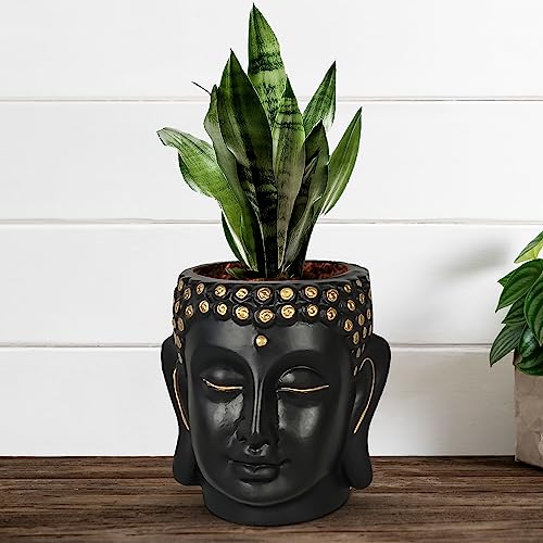 Lasaki Buddha Head Black 6-inch Ceramic Pots for Indoor & Outdoor Plants | Decorative Balcony, Garden & Office Succulent Pot | Unique Spiritual Gamla Plant Holder (H -15.5 X D-16 Cm) - Image 5