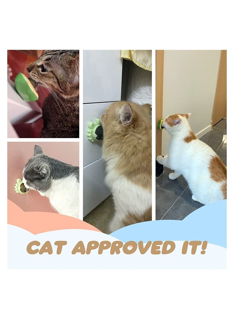 3-Pack Catnip Wall Ball, Catnip Squash Edible Cat Toys Cat Lick Ball Teeth Cleaning Catnip Toys for Cats and Kittens, Natural, Pure, Effective, Fun and Engaging Play, Rotatable Indoor Cat Toy