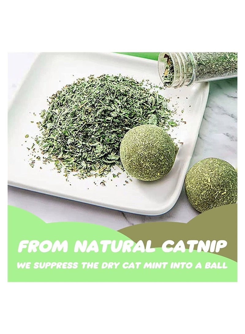 3-Pack Catnip Wall Ball, Catnip Squash Edible Cat Toys Cat Lick Ball Teeth Cleaning Catnip Toys for Cats and Kittens, Natural, Pure, Effective, Fun and Engaging Play, Rotatable Indoor Cat Toy