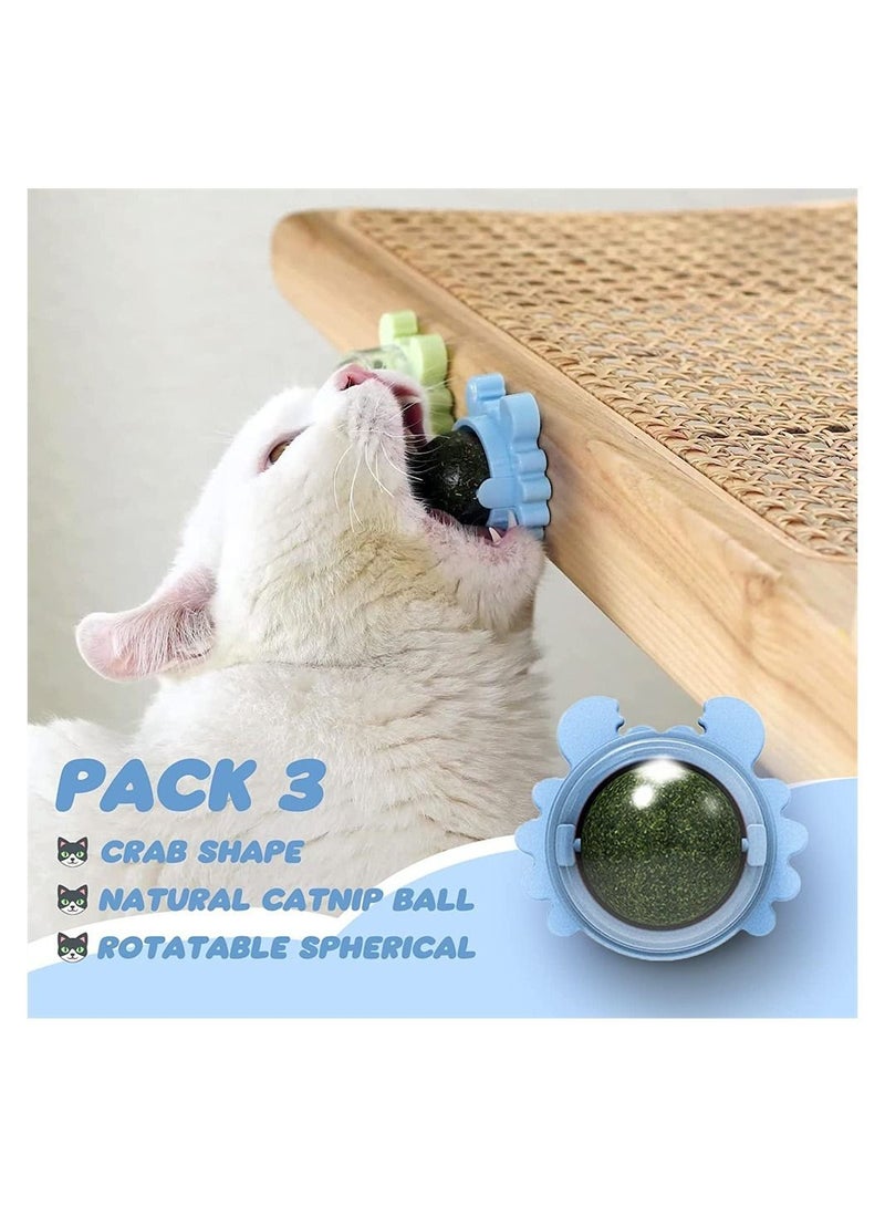 3-Pack Catnip Wall Ball, Catnip Squash Edible Cat Toys Cat Lick Ball Teeth Cleaning Catnip Toys for Cats and Kittens, Natural, Pure, Effective, Fun and Engaging Play, Rotatable Indoor Cat Toy