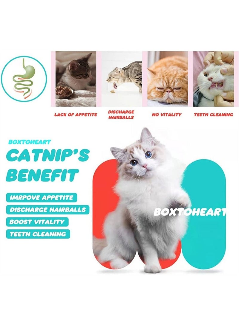 3-Pack Catnip Wall Ball, Catnip Squash Edible Cat Toys Cat Lick Ball Teeth Cleaning Catnip Toys for Cats and Kittens, Natural, Pure, Effective, Fun and Engaging Play, Rotatable Indoor Cat Toy