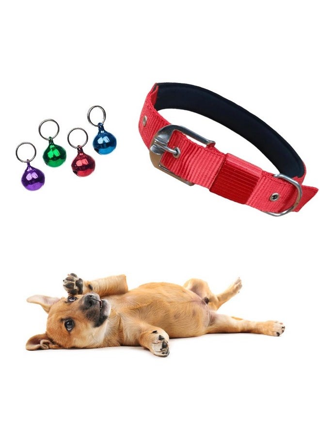 Sage Square Dog & Cat Collar Charm Bells, Collar Tag Cum Pendant Cum Collar Accessory Pack Of 4 + Adjustable Double Strip Collar For Dog/Cat/Kitten/Puppy (1.5 Inches) (Colour May Vary)  - Image 1