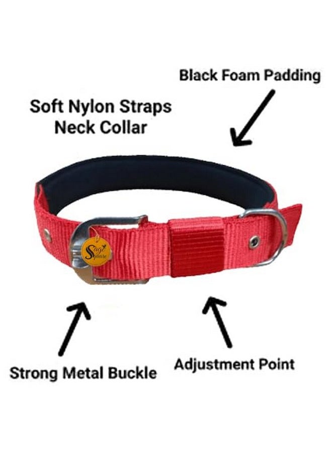 Sage Square Dog & Cat Collar Charm Bells, Collar Tag Cum Pendant Cum Collar Accessory Pack Of 4 + Adjustable Double Strip Collar For Dog/Cat/Kitten/Puppy (1.5 Inches) (Colour May Vary)  - Image 5
