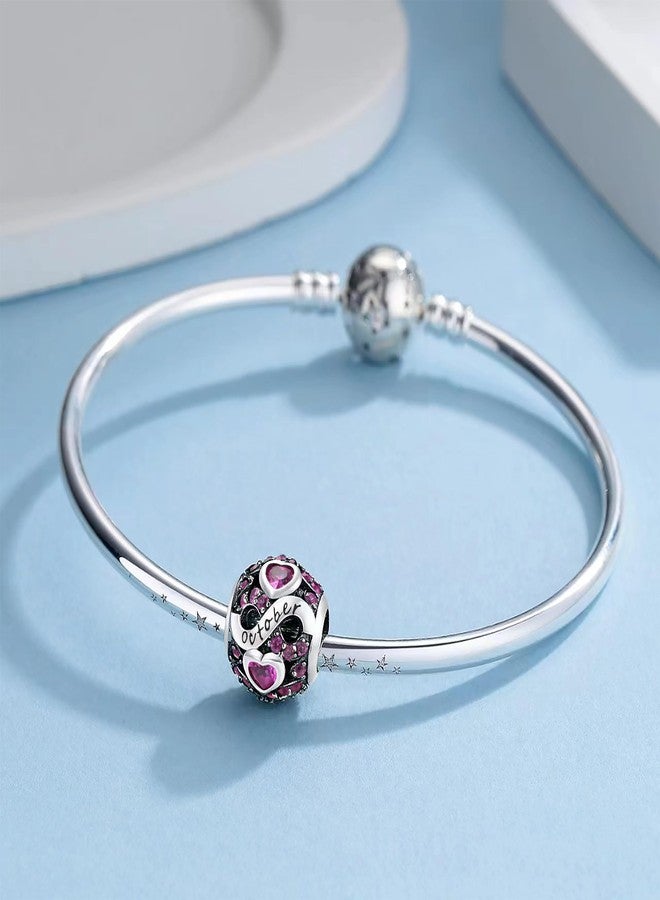 ChenYuTe Birthstone Charms for Bracelet 925 Sterling Silver Bead Charm Happy Birthday Charm Jewelry Gift for Women - Image 2