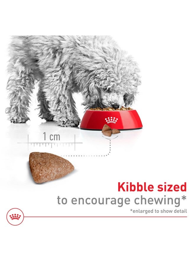 رويال كانين طعام جاف للكلاب البالغة من رويال كانين سايز هيلث نيوتريشن، حجم صغير، كيس 2.5 رطل - Image 3