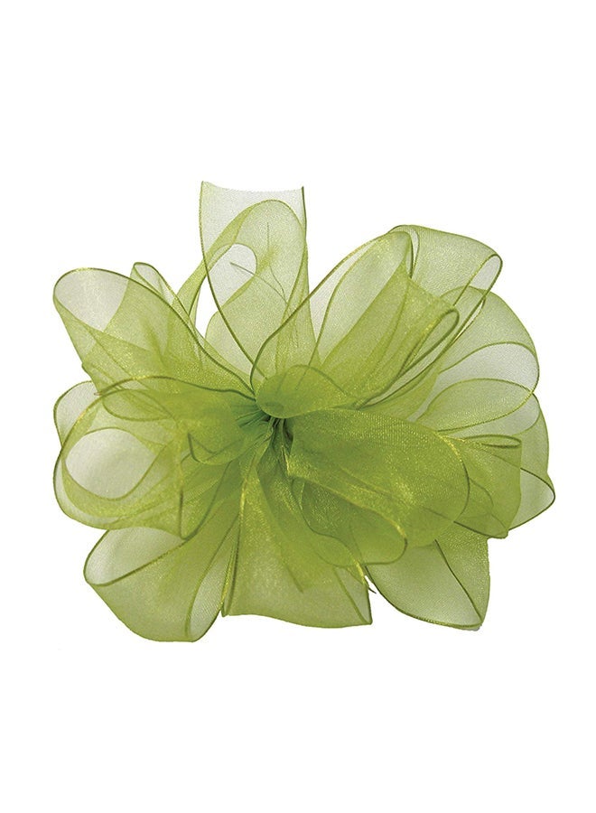 NIBEMINENT Wired Edge Encore Sheer Craft Ribbon Green