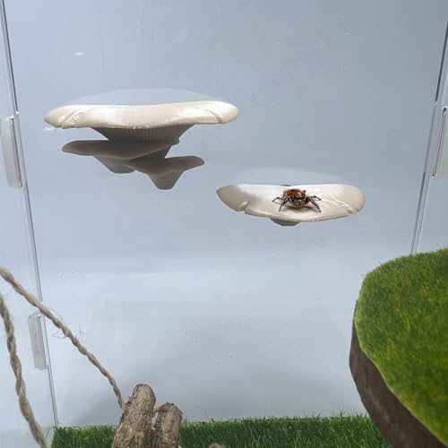 Daerky Jumping Spider Mushroom Shelf, Magnetically Concealed Jumping Spider Habitat,Serves As Enclosure Decorate Accessories for Spider Climbing Feeding and Platforms (Simulated wood) - Image 5