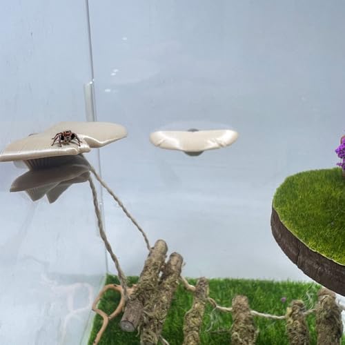 Daerky Jumping Spider Mushroom Shelf, Magnetically Concealed Jumping Spider Habitat,Serves As Enclosure Decorate Accessories for Spider Climbing Feeding and Platforms (Simulated wood) - Image 3