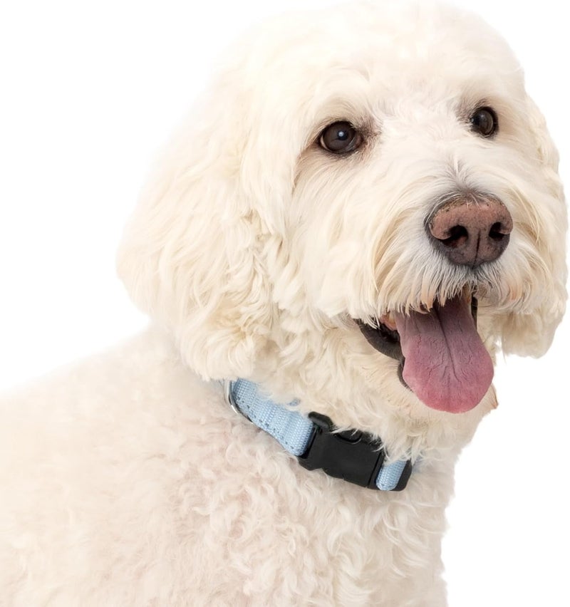 PetSafe Comfort Dog Collar Adjustable Fit for Small, Medium and Large Dog Breeds Reflective Stitching Padded Materials Built-in D-Ring Large, Blue - Image 1