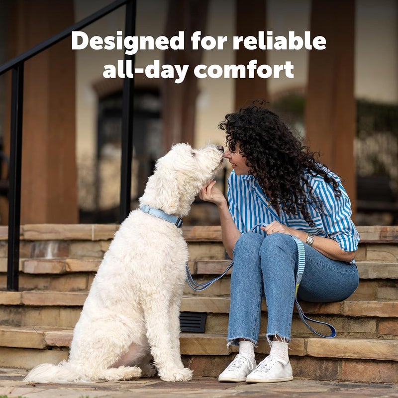 PetSafe Comfort Dog Collar Adjustable Fit for Small, Medium and Large Dog Breeds Reflective Stitching Padded Materials Built-in D-Ring Large, Blue - Image 2