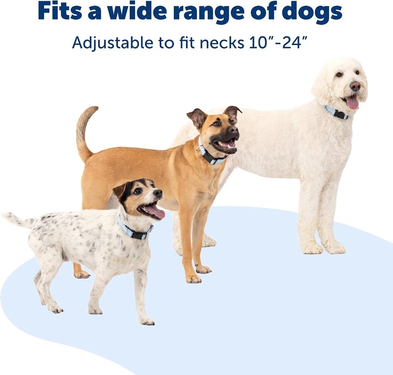PetSafe Comfort Dog Collar Adjustable Fit for Small, Medium and Large Dog Breeds Reflective Stitching Padded Materials Built-in D-Ring Large, Blue - Image 4