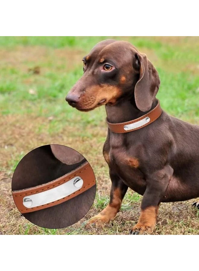 أزرق صغير مضاد للضياع، علامة كلب محفورة، غطاء رقبة طوق الحيوانات الأليفة - Image 2