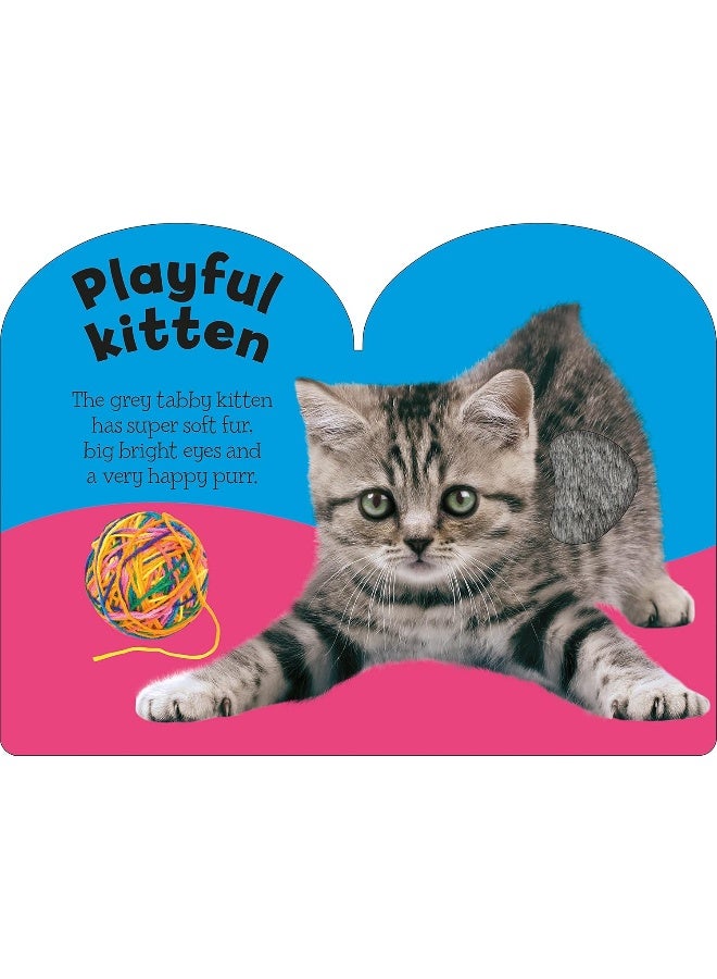 Baby Animals: Baby Touch & Feel  - Image 3