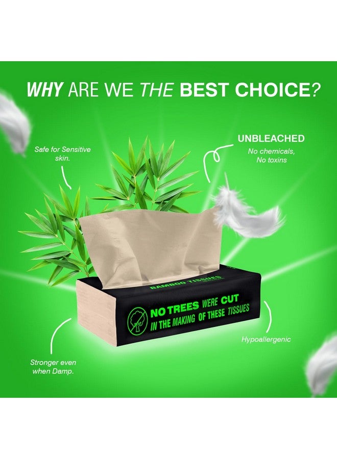 BECO Beco Bamboo Super Soft Facial Tissue 100 Pulls (Pack of 12), 1200 Pulls 2 ply 100% Natural and Ecofriendly - Image 3