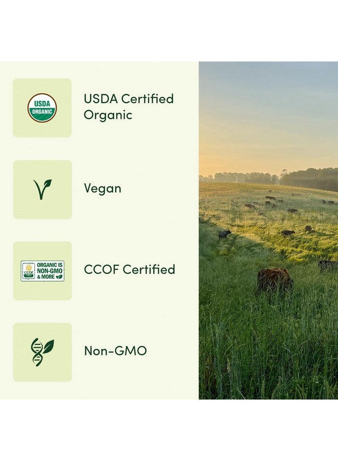 EarthFirst عضوي متعدد الفيتامينات للرجال مرة واحدة يوميًا، 19 فيتامين من الأعشاب والأطعمة الخارقة، 30 حبة - Image 5