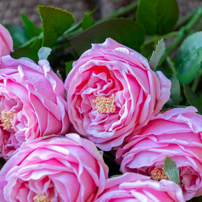 DUYONE Fake Flowers for Decoration Home Decor Artificial Flowers Austin Rose Peony Latex Fake Flower Living Room Decoration Vivid Pink Roses Peonies (Pink 4pcs) - Image 5