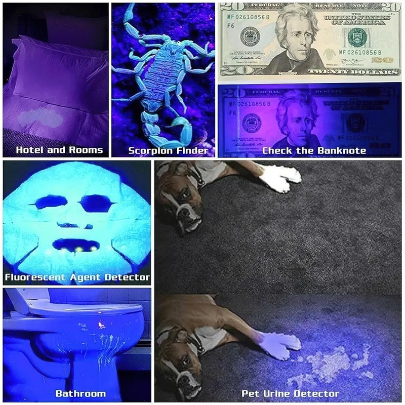 MULZI Rechargeable UV Torch Light 395 NM LED Ultraviolet Torch Black Light UV Lamp for Pet Dog Urine Detection Fluorescent Detection Resin Curing Woods Flashlights - Image 4
